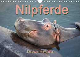 Kalender Nilpferde, Kolosse im Wasser (Wandkalender 2023 DIN A4 quer) von Robert und Andrea Styppa