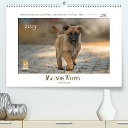 Kalender Malinois Welpen - Liebenswerte Rüpel (Premium, hochwertiger DIN A2 Wandkalender 2023, Kunstdruck in Hochglanz) von Martina Wrede
