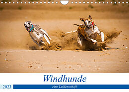 Kalender Windhunde - eine Leidenschaft (Wandkalender 2023 DIN A4 quer) von Ula Redl