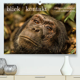 Kalender blick kontakt mit tieren im südlichen afrika (Premium, hochwertiger DIN A2 Wandkalender 2023, Kunstdruck in Hochglanz) von rsiemer