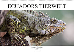 Kalender Ecuadors Tierwelt (Wandkalender 2023 DIN A2 quer) von Jeanette Dobrindt