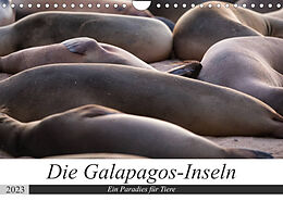 Kalender Galapagos-Inseln - Ein Paradies für Tiere (Wandkalender 2023 DIN A4 quer) von Jeanette Dobrindt