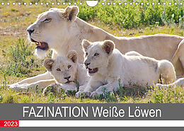 Kalender FAZINATION Weiße Löwen (Wandkalender 2023 DIN A4 quer) von Thula