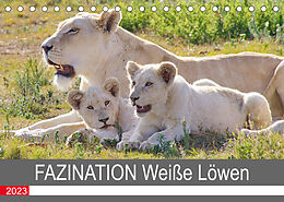 Kalender FAZINATION Weiße Löwen (Tischkalender 2023 DIN A5 quer) von Thula