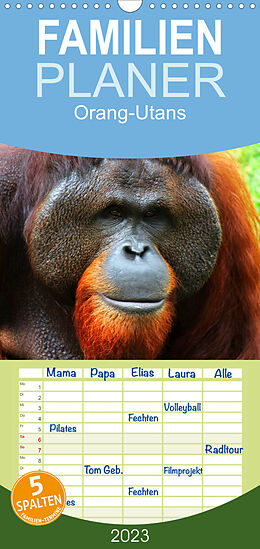 Kalender Familienplaner Orang-Utans (Wandkalender 2023 , 21 cm x 45 cm, hoch) von Elisabeth Stanzer