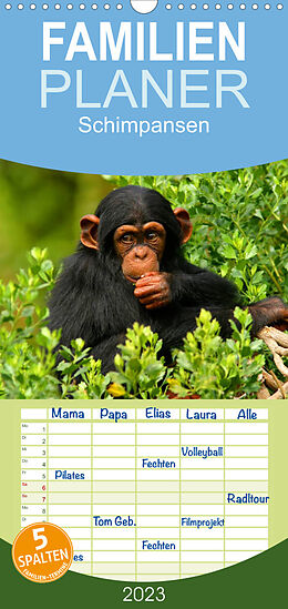 Kalender Familienplaner Schimpansen (Wandkalender 2023 , 21 cm x 45 cm, hoch) von Elisabeth Stanzer