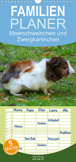 Kalender Familienplaner Meerschweinchen und Zwergkaninchen (Wandkalender 2023 , 21 cm x 45 cm, hoch) von kattobello