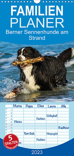 Kalender Familienplaner Berner Sennenhunde am Strand (Wandkalender 2023 , 21 cm x 45 cm, hoch) von Sigrid Starick