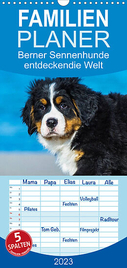 Kalender Familienplaner Seebärchen entdecken die Welt - Berner Sennenhunde (Wandkalender 2023 , 21 cm x 45 cm, hoch) von Sigrid Starick