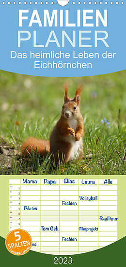 Kalender Familienplaner Das heimliche Leben der Eichhörnchen (Wandkalender 2023 , 21 cm x 45 cm, hoch) von Kattobello