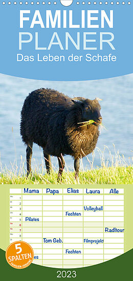 Kalender Familienplaner Das Leben der Schafe (Wandkalender 2023 , 21 cm x 45 cm, hoch) von kattobello