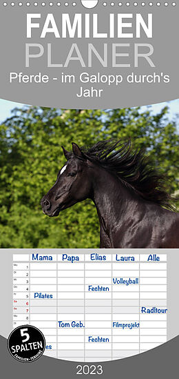 Kalender Familienplaner Pferde - im Galopp durch's Jahr (Wandkalender 2023 , 21 cm x 45 cm, hoch) von Jeanette Hutfluss