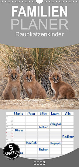 Kalender Familienplaner Raubkatzenkinder (Wandkalender 2023 , 21 cm x 45 cm, hoch) von Marion Vollborn