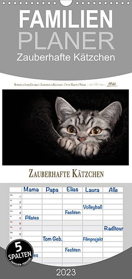 Kalender Familienplaner Zauberhafte Kätzchen (Wandkalender 2023 , 21 cm x 45 cm, hoch) von Martina Wrede