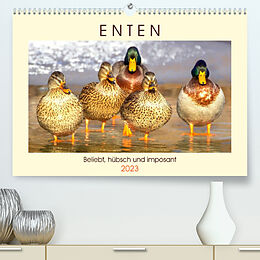 Kalender Enten. Beliebt, hübsch und imposant (Premium, hochwertiger DIN A2 Wandkalender 2023, Kunstdruck in Hochglanz) von Rose Hurley