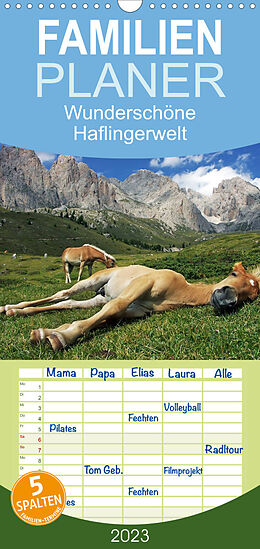 Kalender Familienplaner Wunderschöne Haflingerwelt (Wandkalender 2023 , 21 cm x 45 cm, hoch) von Michael Rucker