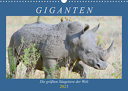 Kalender Giganten. Die größten Säugetiere der Welt (Wandkalender 2023 DIN A3 quer) von Rose Hurley