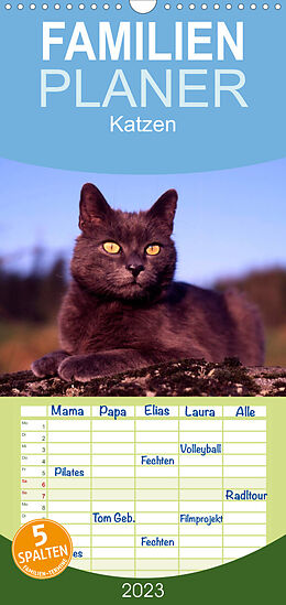 Kalender Familienplaner Katzen (Wandkalender 2023 , 21 cm x 45 cm, hoch) von McPHOTO / Werner Layer