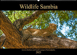 Kalender Wildlife Sambia (Wandkalender 2023 DIN A2 quer) von Photo4emotion.com