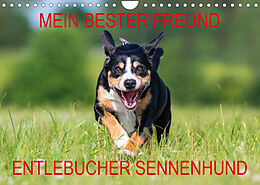 Kalender Mein bester Freund - Entlebucher Sennenhund (Wandkalender 2023 DIN A4 quer) von N N