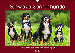 Kalender Schweizer Sennenhunde - die Hunde aus den Schweizer Alpen (Wandkalender 2023 DIN A3 quer) von Sigrid Starick