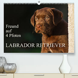 Kalender Freund auf 4 Pfoten - Labrador Retriever (Premium, hochwertiger DIN A2 Wandkalender 2023, Kunstdruck in Hochglanz) von Sigrid Starick