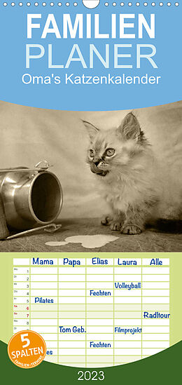 Kalender Familienplaner Oma's Katzenkalender 2023 (Wandkalender 2023 , 21 cm x 45 cm, hoch) von Sylvia Säume