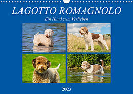 Kalender Lagotto Romagnolo - Ein Hund zum Verlieben (Wandkalender 2023 DIN A3 quer) von N N