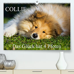 Kalender Collie - Das Glück hat 4 Pfoten (Premium, hochwertiger DIN A2 Wandkalender 2023, Kunstdruck in Hochglanz) von Sigrid Starick