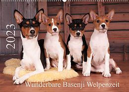 Kalender Wunderbare Basenji Welpenzeit (Wandkalender 2023 DIN A2 quer) von Angelika Joswig