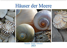 Kalender Häuser der Meere: Muscheln - Seeigel - Schnecken (Wandkalender 2023 DIN A2 quer) von Renate Grobelny
