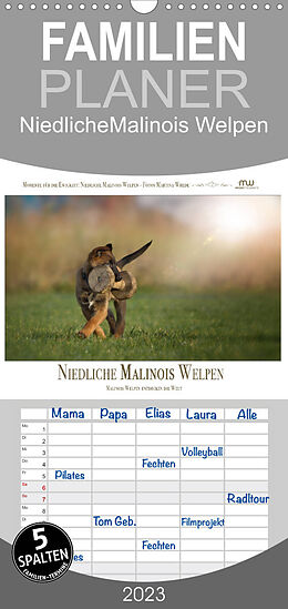 Kalender Familienplaner Niedliche Malinois Welpen (Wandkalender 2023 , 21 cm x 45 cm, hoch) von Martina Wrede