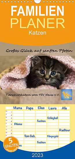 Kalender Familienplaner Tierschutzkatzen vom TSV-Neuss - Großes Glück auf sanften Pfoten (Wandkalender 2023 , 21 cm x 45 cm, hoch) von Jane B