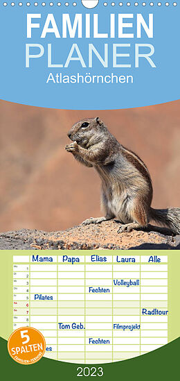 Kalender Familienplaner Atlashörnchen (Wandkalender 2023 , 21 cm x 45 cm, hoch) von Denny Hildenbrandt