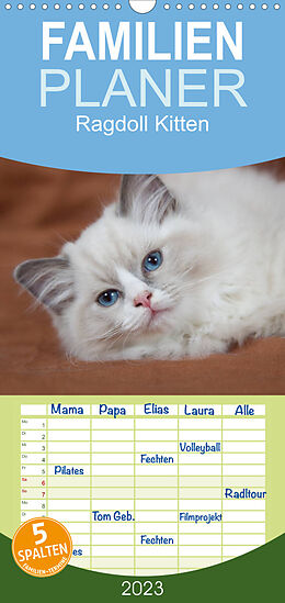 Kalender Familienplaner Ragdoll Kitten (Wandkalender 2023 , 21 cm x 45 cm, hoch) von Fotodesign Verena Scholze