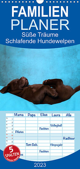 Kalender Familienplaner Süße Träume 2023 - schlafende Hundewelpen (Wandkalender 2023 , 21 cm x 45 cm, hoch) von Jeanette Hutfluss