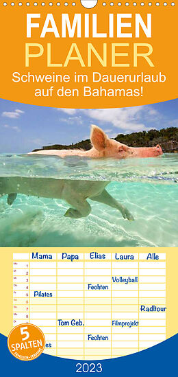Kalender Familienplaner Schweine im Dauerurlaub auf den Bahamas! (Wandkalender 2023 , 21 cm x 45 cm, hoch) von Elisabeth Stanzer