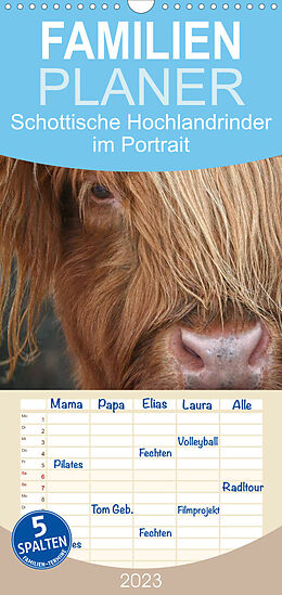 Kalender Familienplaner Schottische Hochlandrinder - Highland Cattle im Portrait (Wandkalender 2023 , 21 cm x 45 cm, hoch) von Martina Cross