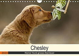 Kalender Chesley Kleiner Hund grosse Abenteuer (Wandkalender 2023 DIN A4 quer) von Hundefotografie Bea Müller