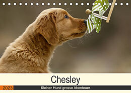 Kalender Chesley Kleiner Hund grosse Abenteuer (Tischkalender 2023 DIN A5 quer) von Hundefotografie Bea Müller