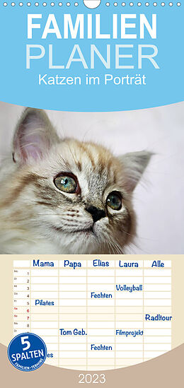 Kalender Familienplaner Katzen im Porträt / Geburtstagskalender (Wandkalender 2023 , 21 cm x 45 cm, hoch) von Jennifer Chrystal
