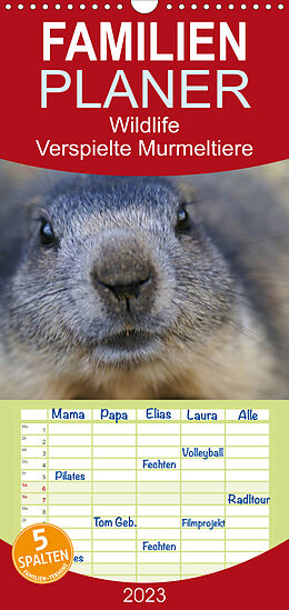 Kalender Familienplaner Wildlife - Verspielte Murmeltiere (Wandkalender 2023 , 21 cm x 45 cm, hoch) von Susan Michel / CH
