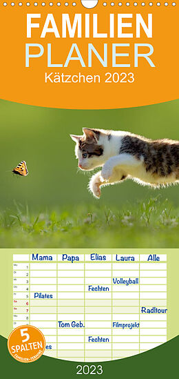 Kalender Familienplaner Kätzchen 2023 (Wandkalender 2023 , 21 cm x 45 cm, hoch) von LEOBA