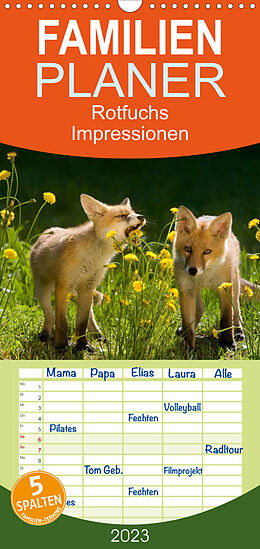 Kalender Familienplaner Rotfuchs - Impressionen (Wandkalender 2023 , 21 cm x 45 cm, hoch) von Susanne Danegger