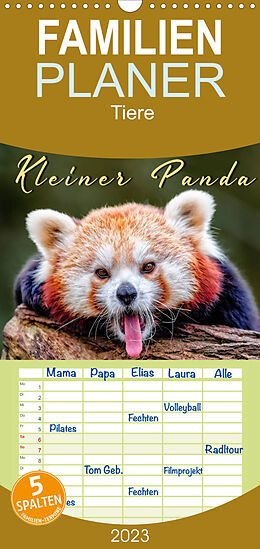 Kalender Familienplaner Kleiner Panda (Wandkalender 2023 , 21 cm x 45 cm, hoch) von Peter Roder
