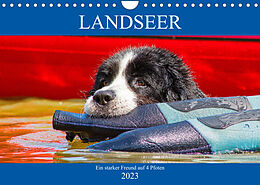 Kalender Landseer - Ein starker Freund auf 4 Pfoten (Wandkalender 2023 DIN A4 quer) von Sigrid Starick
