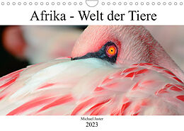 Kalender Afrika - Welt der Tiere (Wandkalender 2023 DIN A4 quer) von Michael Jaster