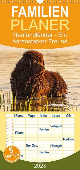 Kalender Familienplaner Neufundländer - Ein bärenstarker Freund (Wandkalender 2023 , 21 cm x 45 cm, hoch) von Sigrid Starick