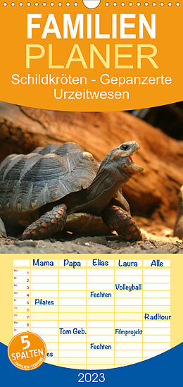 Kalender Familienplaner Schildkröten - Gepanzerte Urzeitwesen (Wandkalender 2023 , 21 cm x 45 cm, hoch) von Barbara Mielewczyk