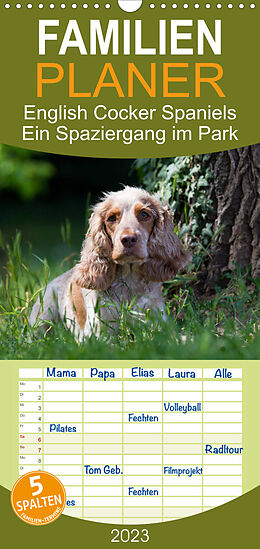 Kalender Familienplaner English Cocker Spaniels - Ein Spaziergang im Park (Wandkalender 2023 , 21 cm x 45 cm, hoch) von Fotodesign Verena Scholze